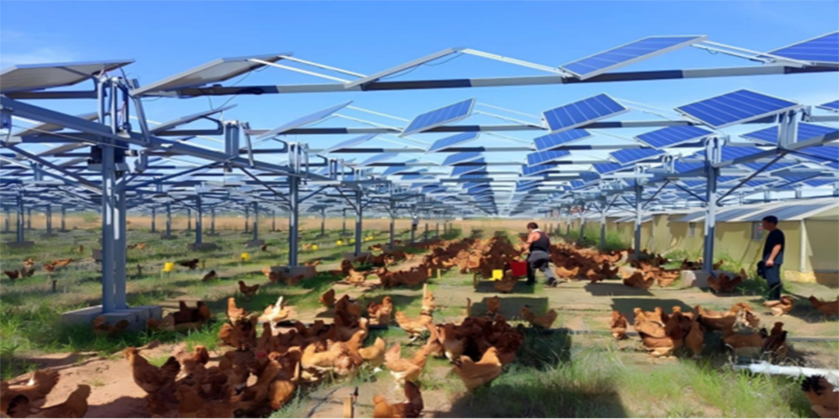 763d025879ebf255d174ed8c9854297a